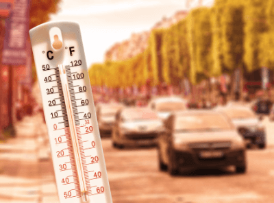 canicule small