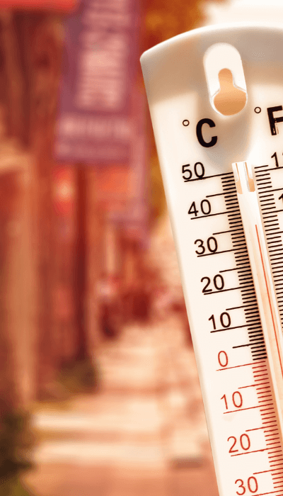 canicule canicule